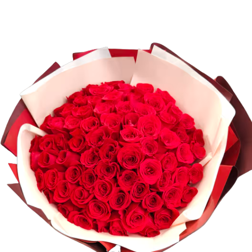 Diseño sin título - 2025-09-01T124302.246