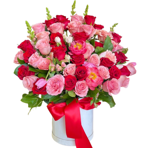 Diseño sin título - 2026-01-09T150951.293