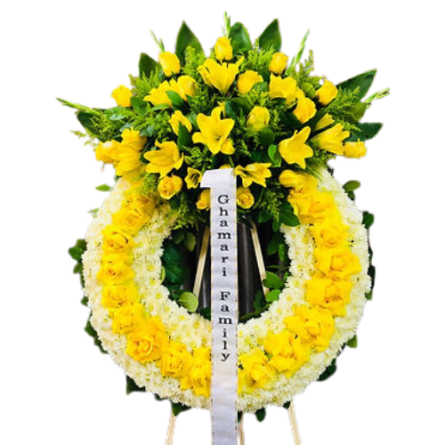 Diseño sin título - 2026-01-25T092931.740