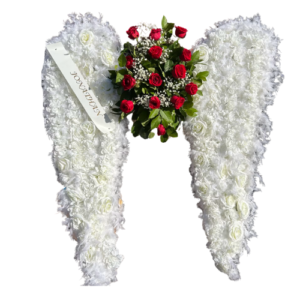 Fallen Angel Wings SJ