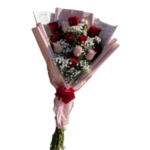 Rosas clásicas rojas y ruborizadas SJ