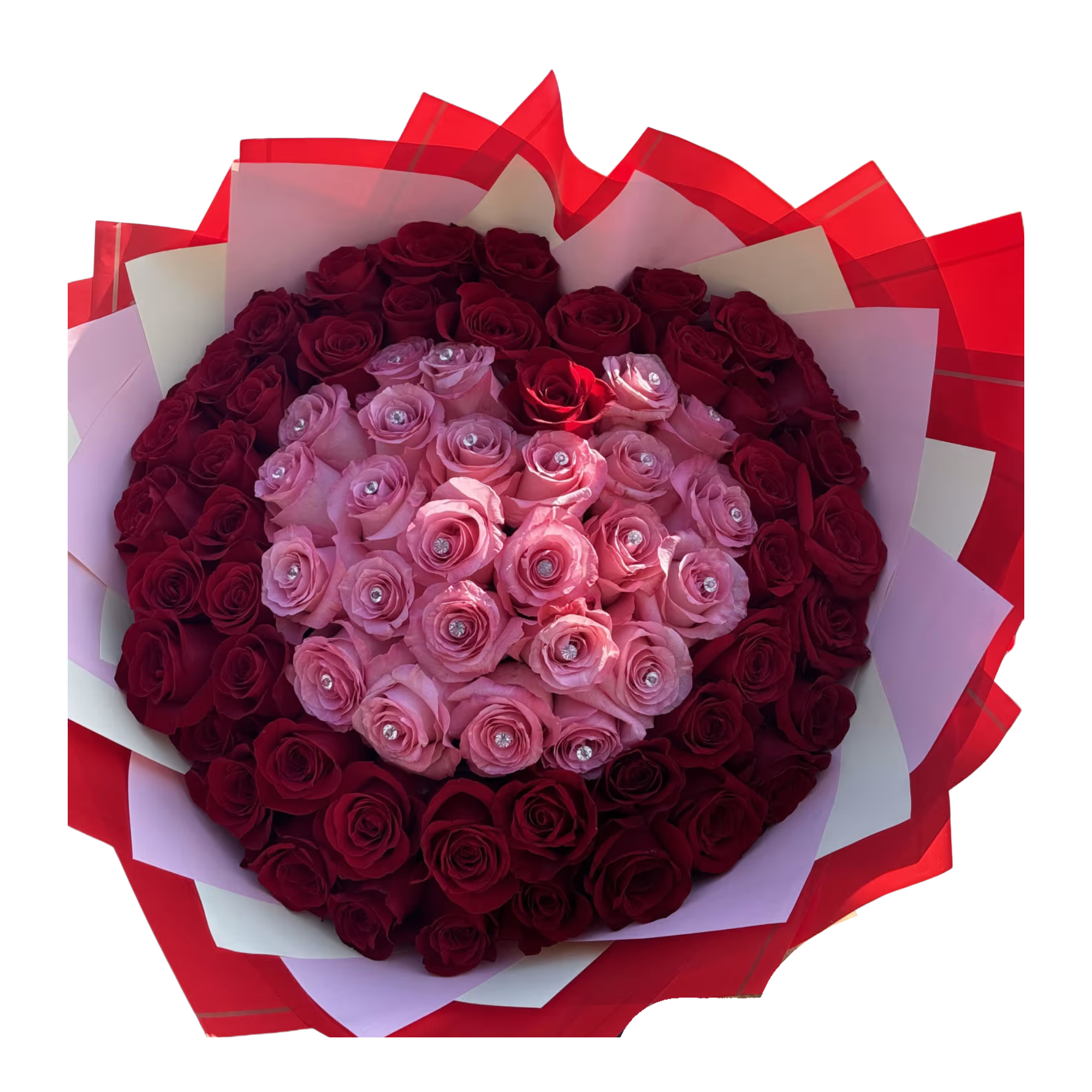 Diseño sin título - 2026-02-23T072310.867